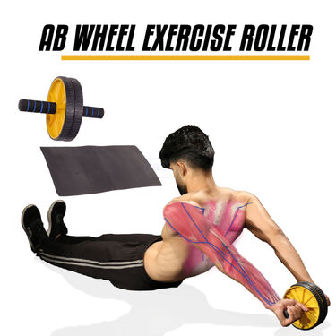 Ab Wheel Exercise Roller (FAS22)