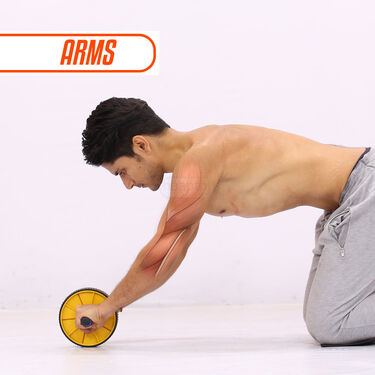 Ab Wheel Exercise Roller (FAS22)