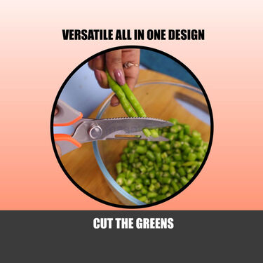 All in one Home & Kitchen Scissor (KS1)