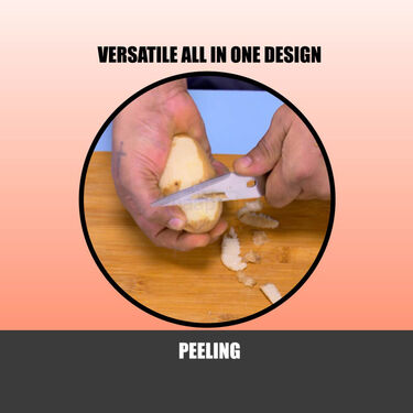 All in one Home & Kitchen Scissor (KS1)