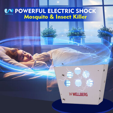 Wall Mounted Mosquito & Insect Killer – EasyEtail